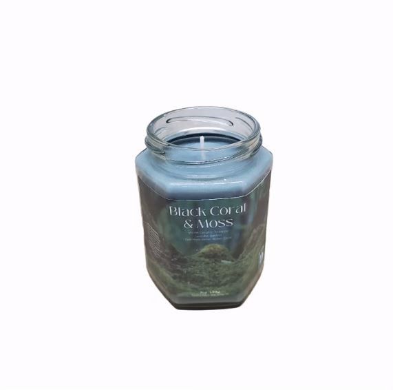 Black Coral & Moss Soy Candle | Large Hex Jar - D SCENT