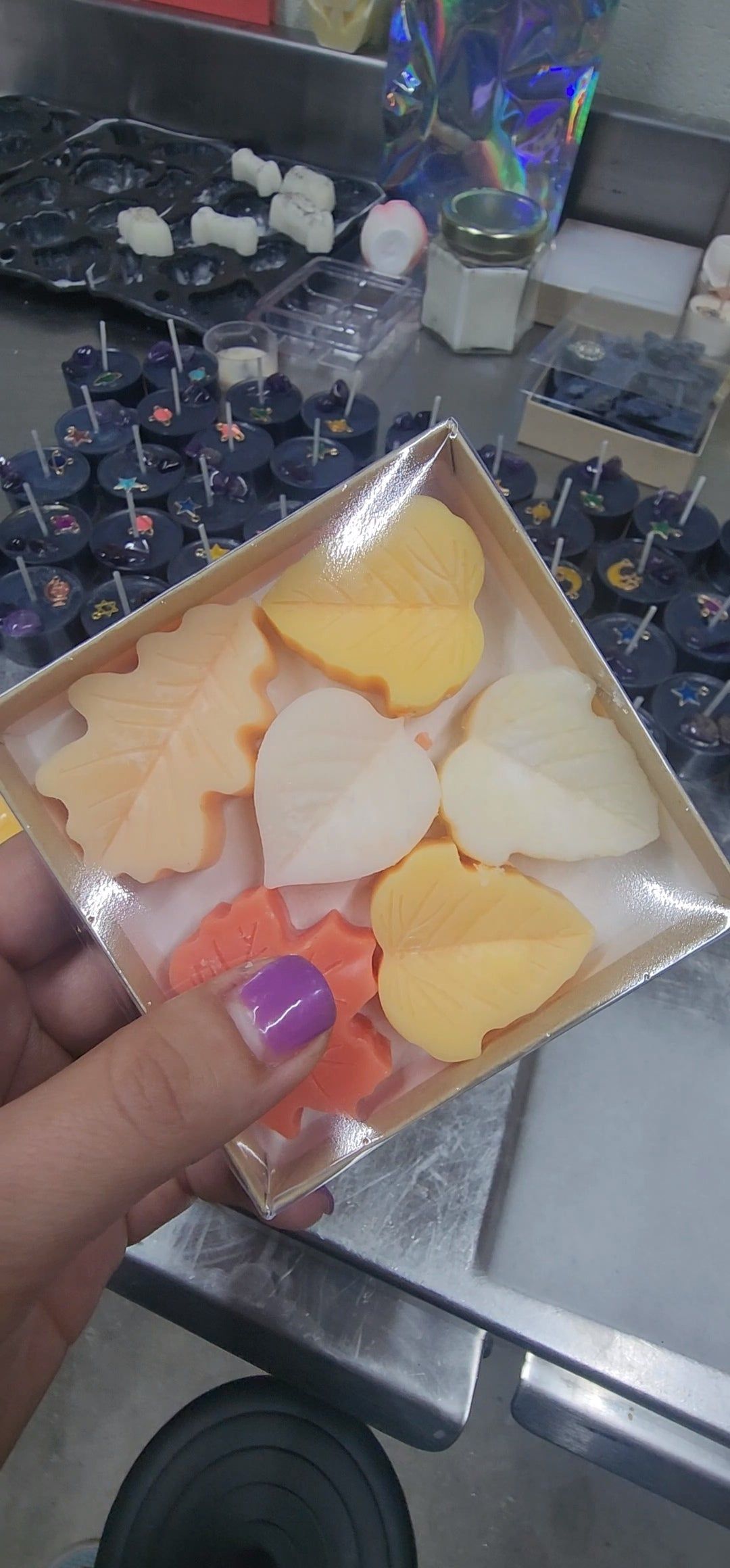 Hello Autumn Soy Wax Melts | Box - D SCENT