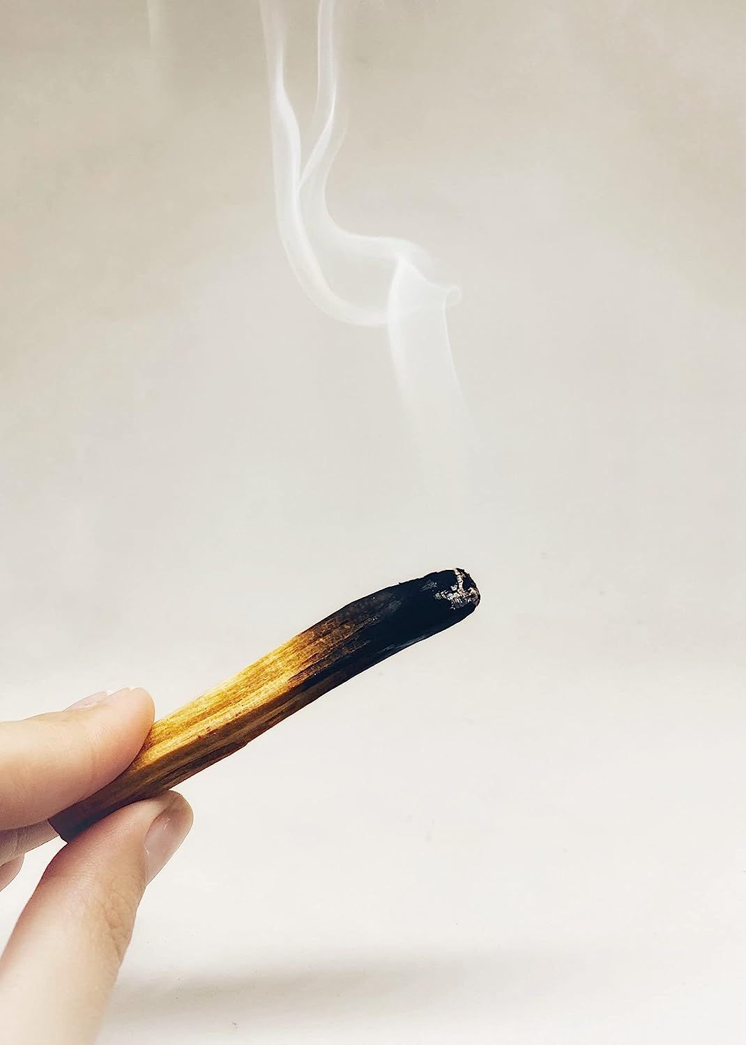 Palo Santo Incense Stick - D SCENT