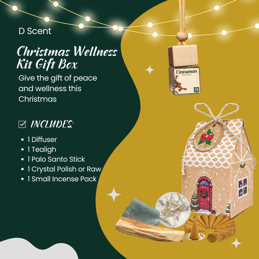 Christmas Wellness Kit Gift Box