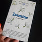 Jasmine | Incense Cones | Stamford