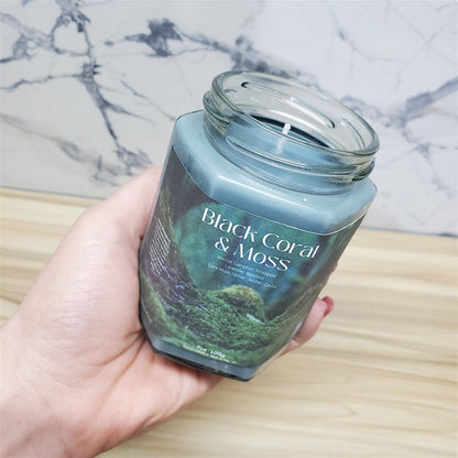 Black Coral & Moss Soy Candle | Large Hex Jar - D SCENT 