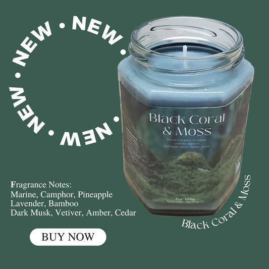 Black Coral & Moss Soy Candle | Large Hex Jar