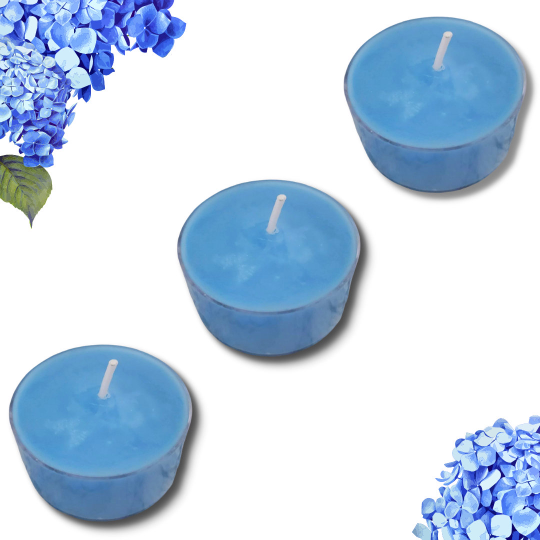 WILD BLUE flowers Soy Collection